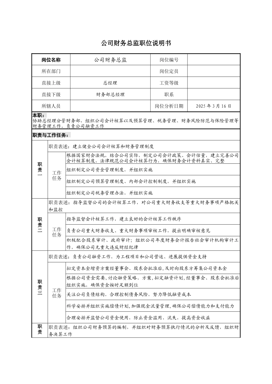 公司财务总监职位说明书_第1页