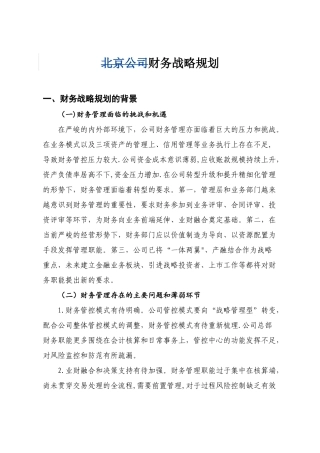 公司财务战略规划