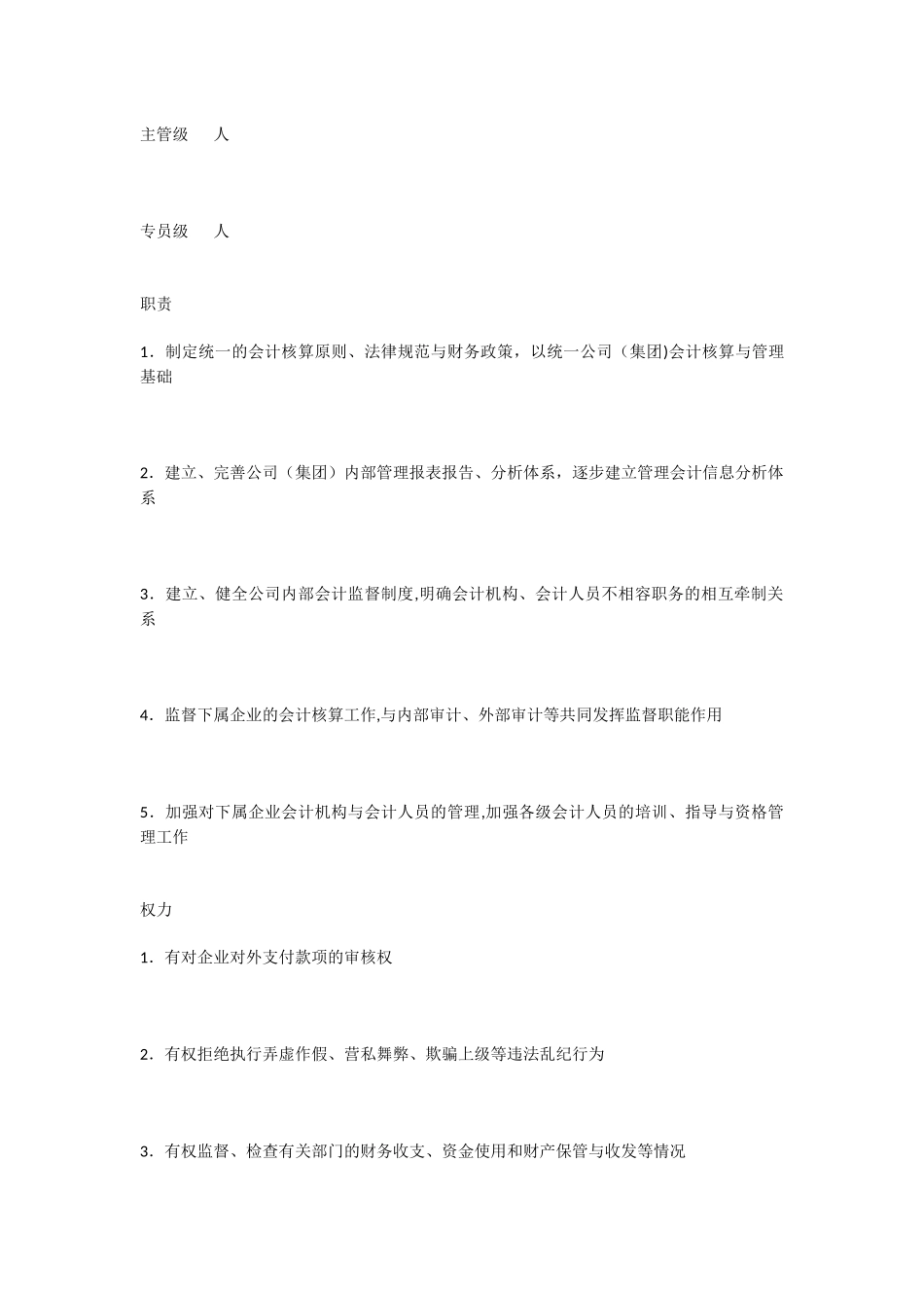 公司财务规划书-_第2页