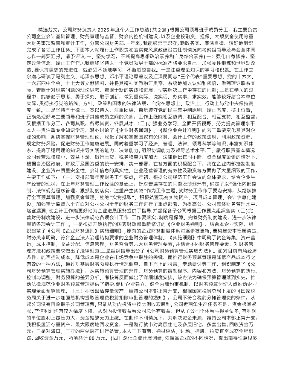 公司财务负责人2025年度个人工作总结_第1页