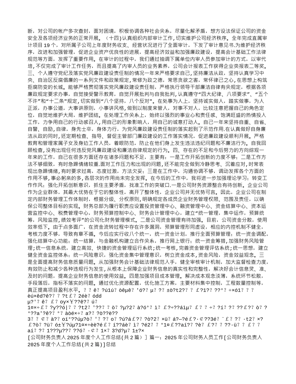 公司财务负责人2025年度个人工作总结_第3页