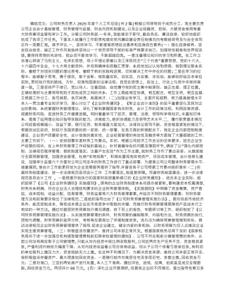 公司财务负责人2025年度个人工作总结