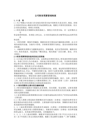 公司财务预算管理制度05132