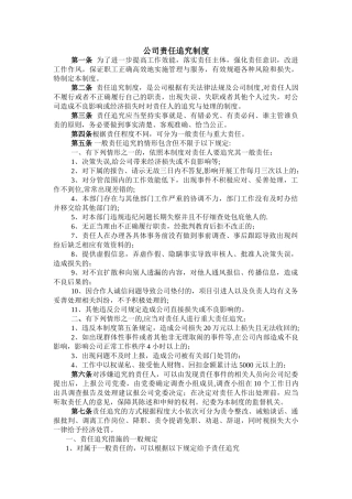 公司责任追究制度