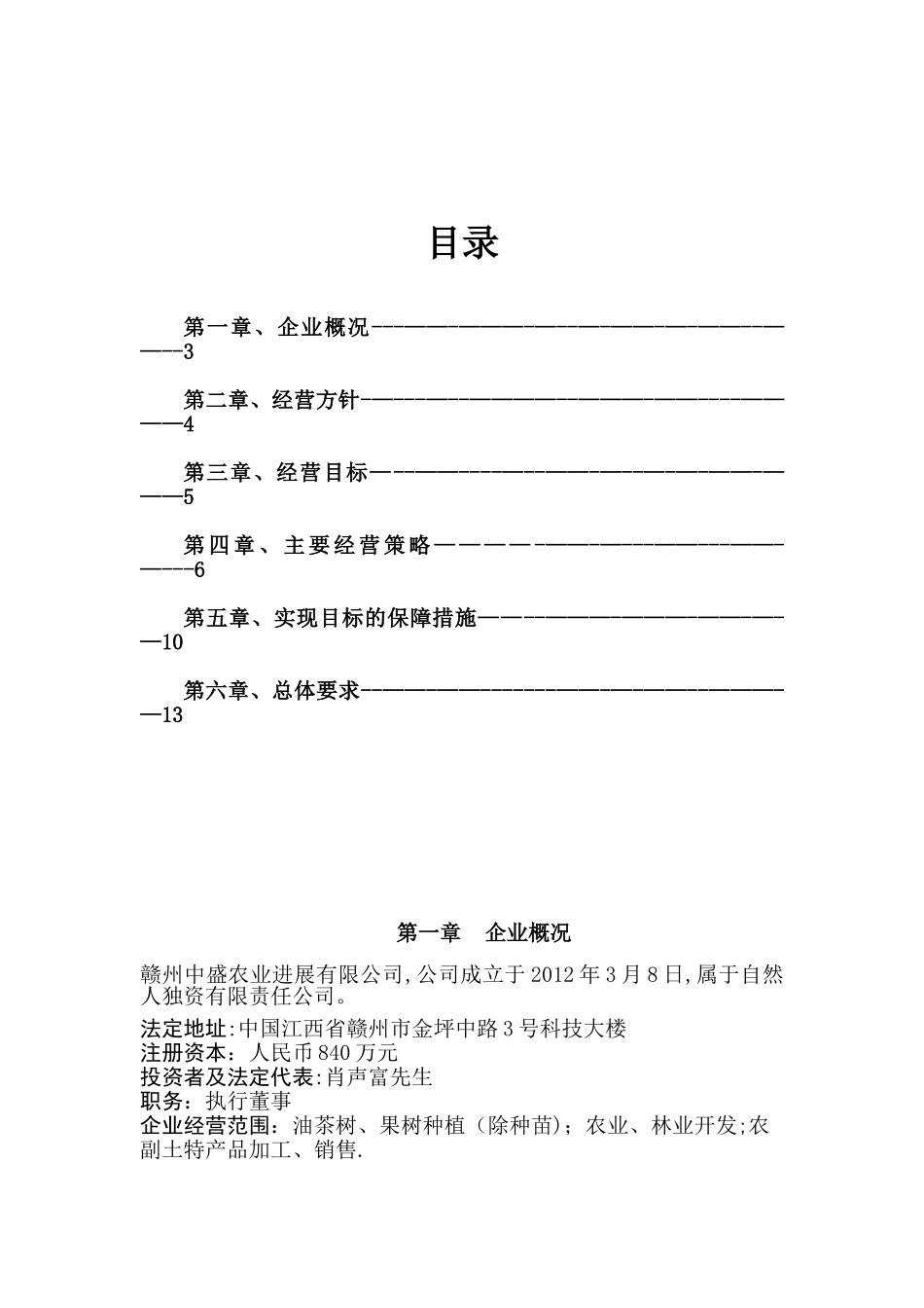 公司运营计划书模板-企业运行计划_第2页
