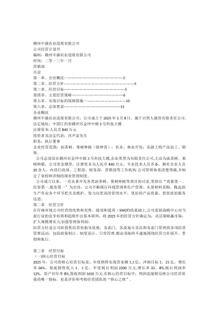 公司运营计划书模板