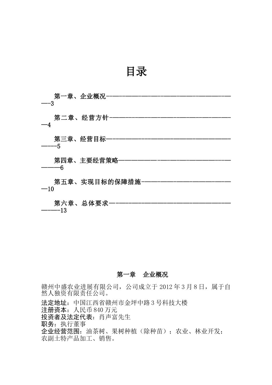 公司运营计划书模板53710_第2页
