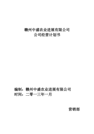 公司运营计划书模板
