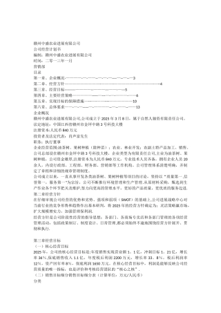 公司运营计划书模板56589