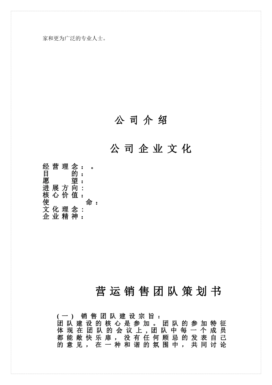 公司销售团队建设方案_第2页