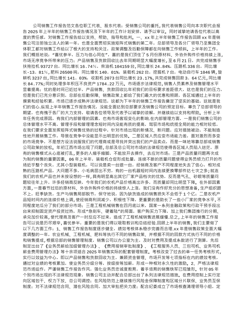 公司销售工作报告范文-_第1页