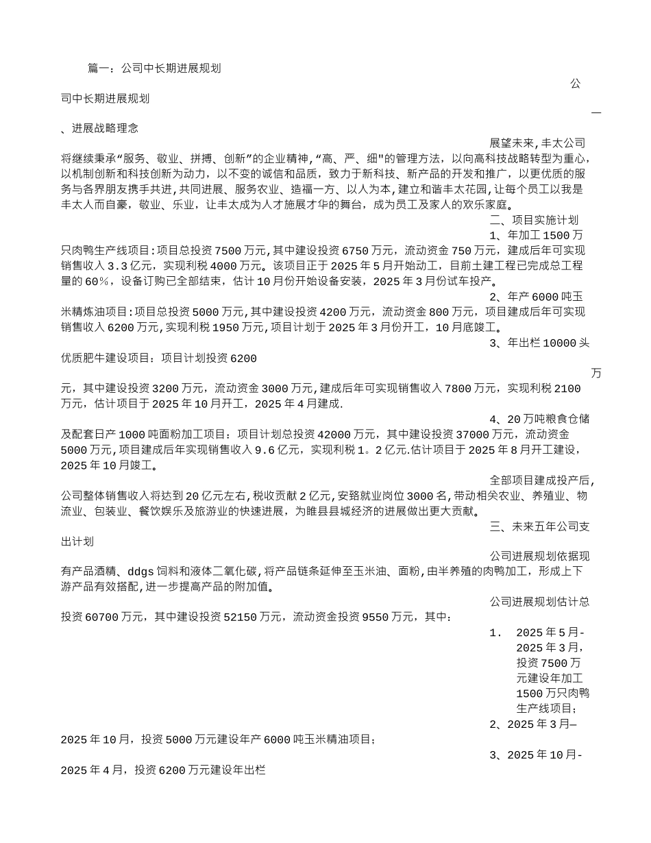 公司长期发展计划_第1页