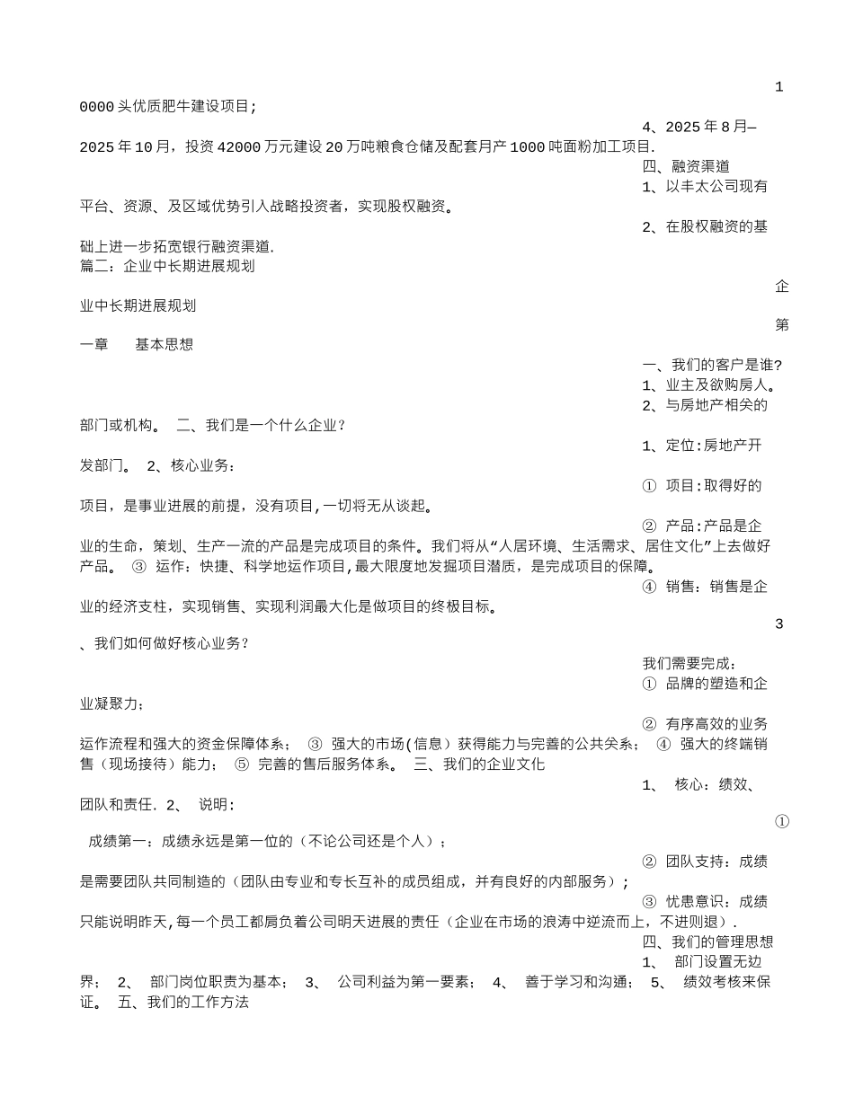 公司长期发展计划_第2页
