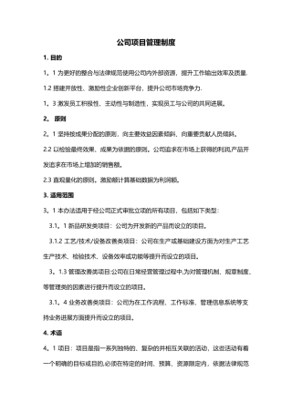 公司项目管理制度