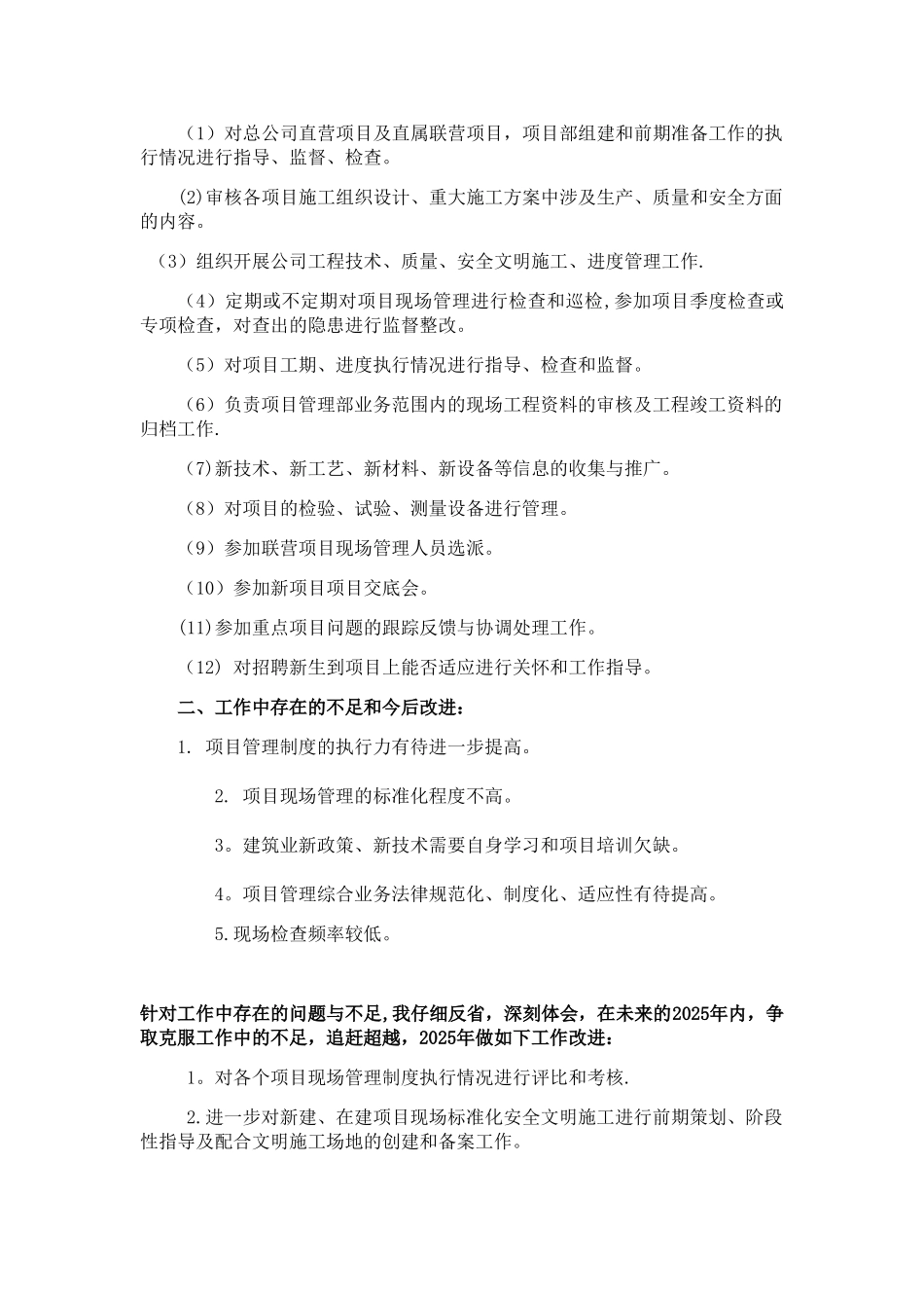 公司项目管理年终总结_第2页
