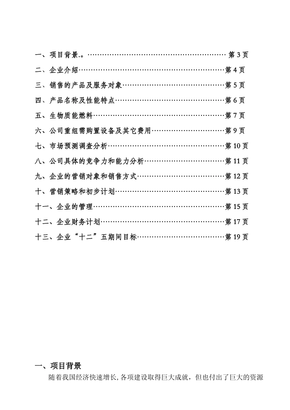 公司项目计划书_第2页