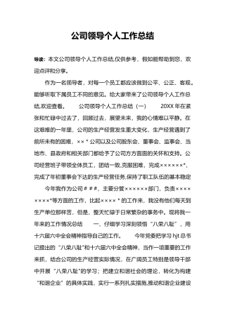 公司领导个人工作总结