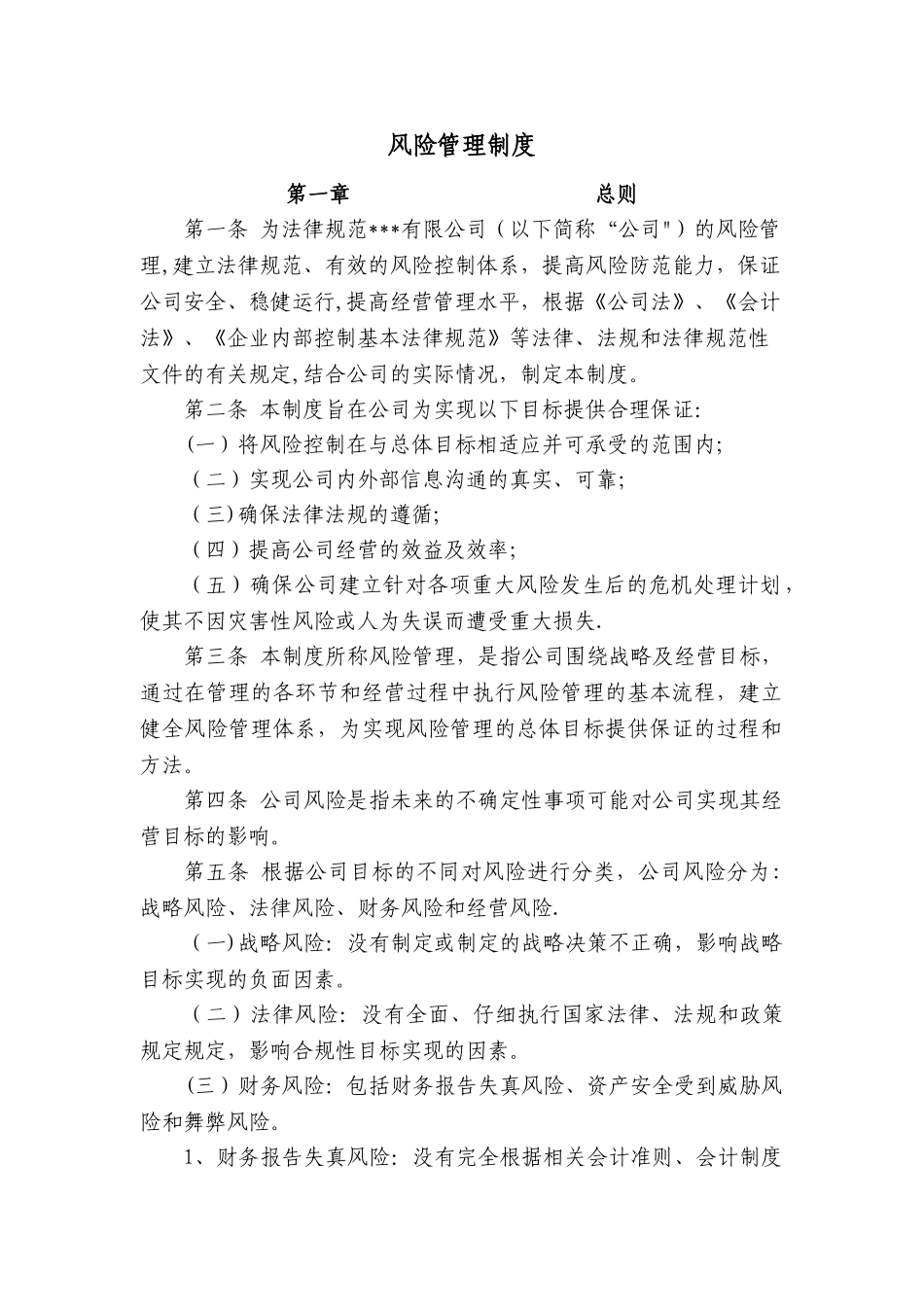 公司风险管理制度_第1页