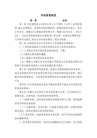 公司风险管理制度