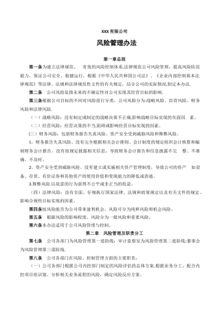 公司风险管理办法