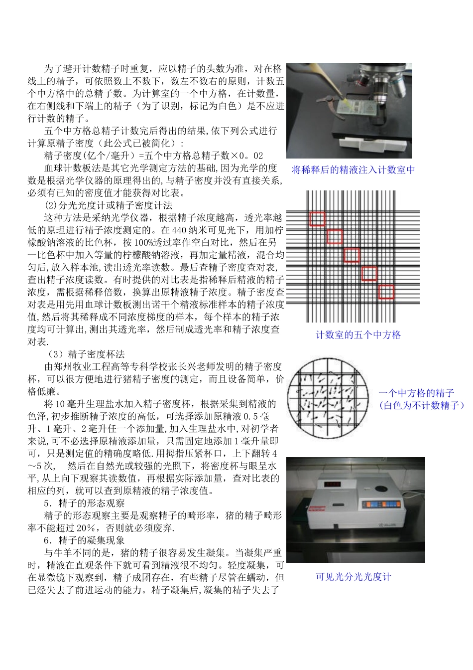 公猪精液的质量评估_第3页