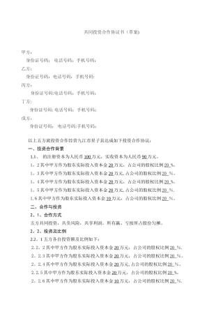 共同投资合作协议书
