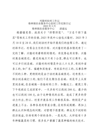 兴隆村驻村工作记
