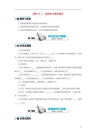 高中物理 19.2 放射性元素的衰变学案 新人教版选修3-5-新人教版高二选修3-5物理学案