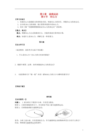 高中物理 5.6向心力导学案 新人教版必修2-新人教版高一必修2物理学案