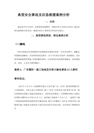 典型事故和应急救援案例分析