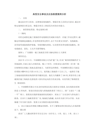 典型安全事故及应急救援案例分析