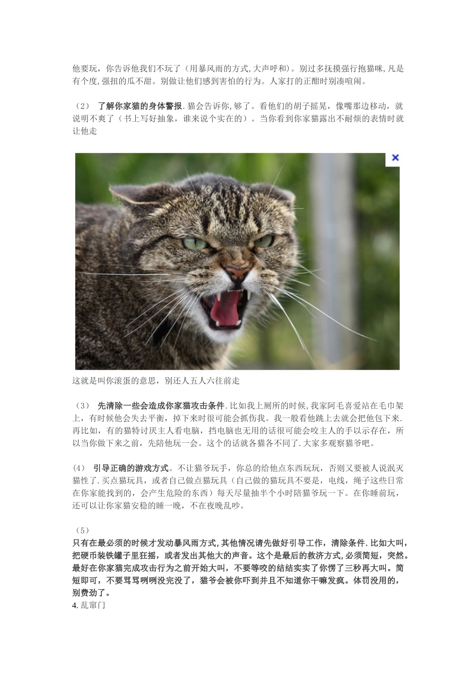 养猫常识及注意事项_第3页