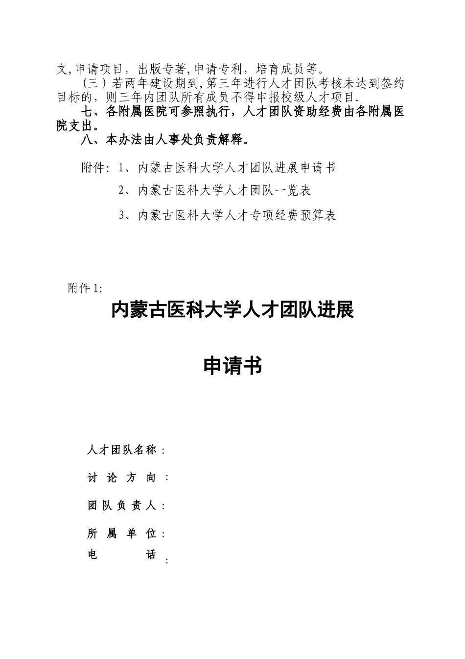 内蒙古医科大学人才团队遴选考核办法doc_第3页