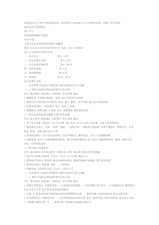 内部审计业务报告概要