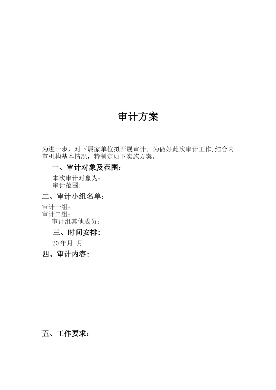 内部审计常用表格文书_第2页