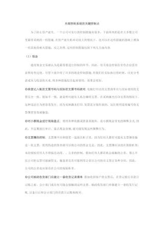 内部控制系统的关键控制点