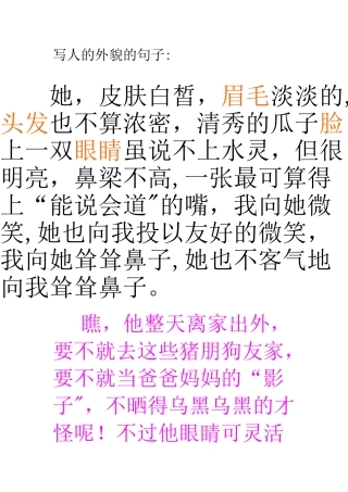写人的外貌的句子