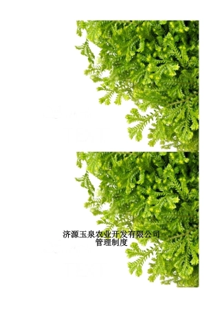 农业开发有限公司管理制度模板