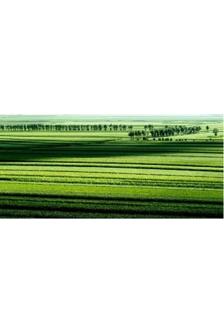 农产品营销策划方案