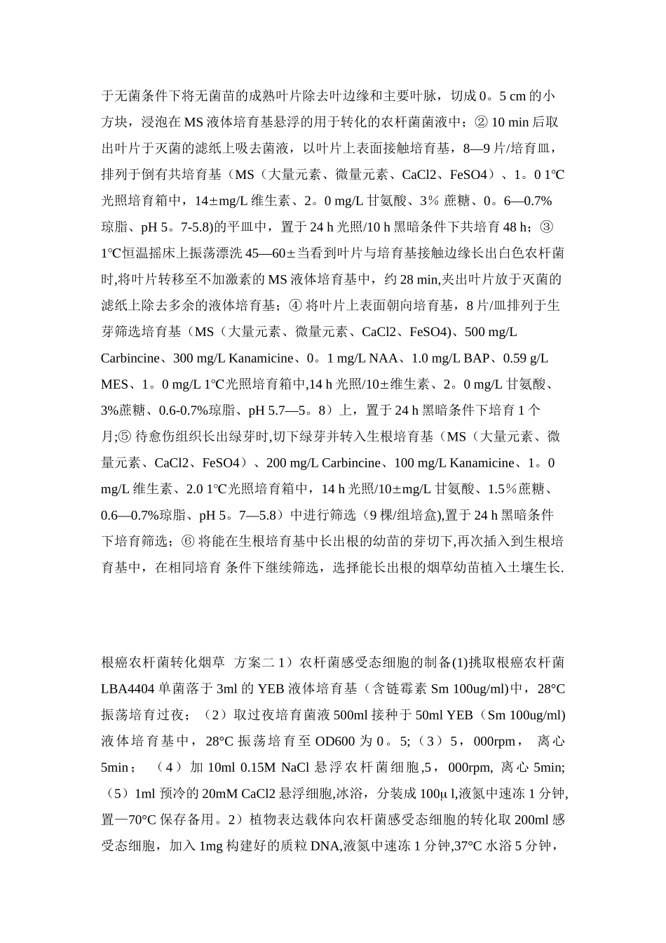 农杆菌的转化流程_第2页