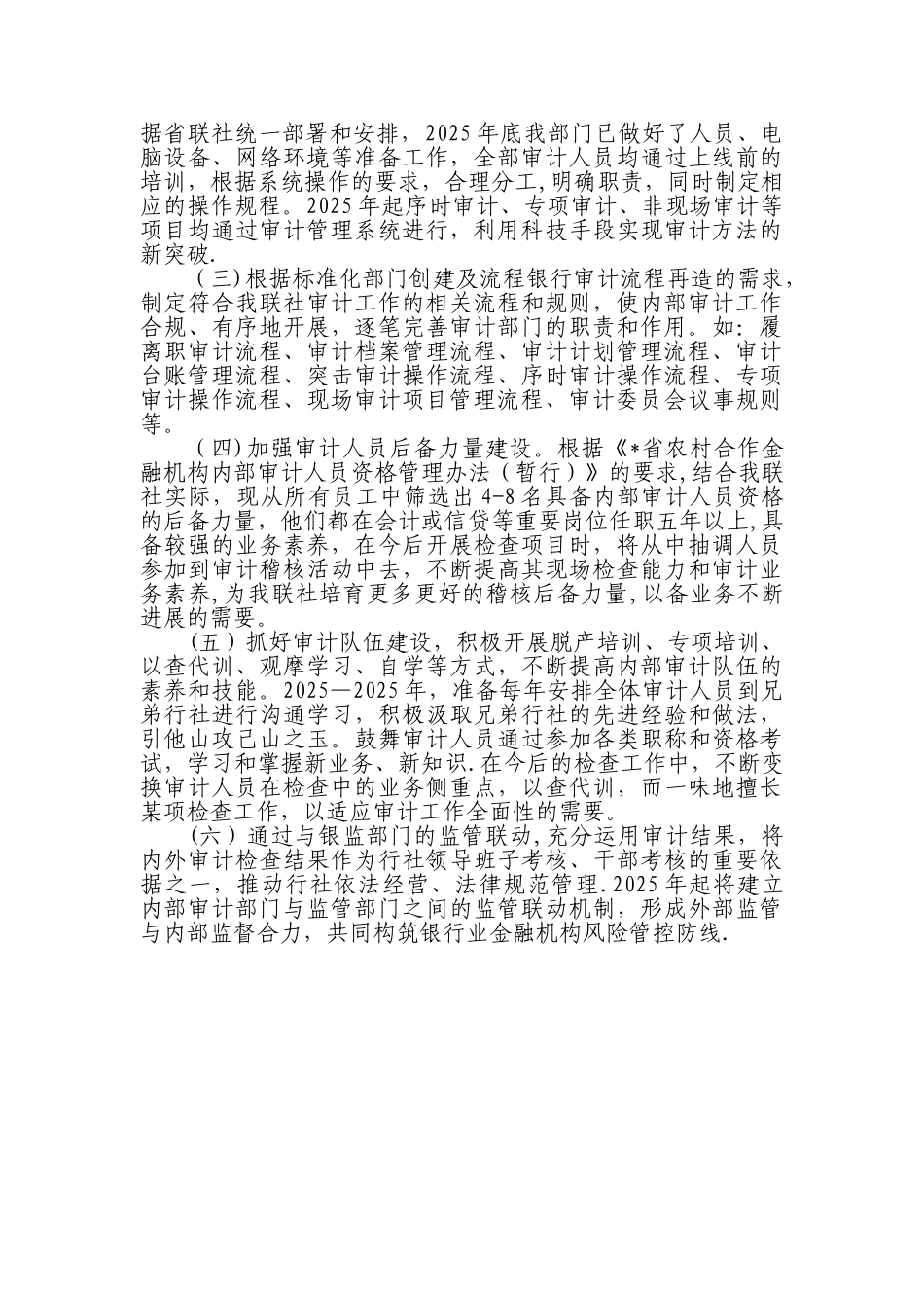 农村商业银行中长期审计工作规划_第2页