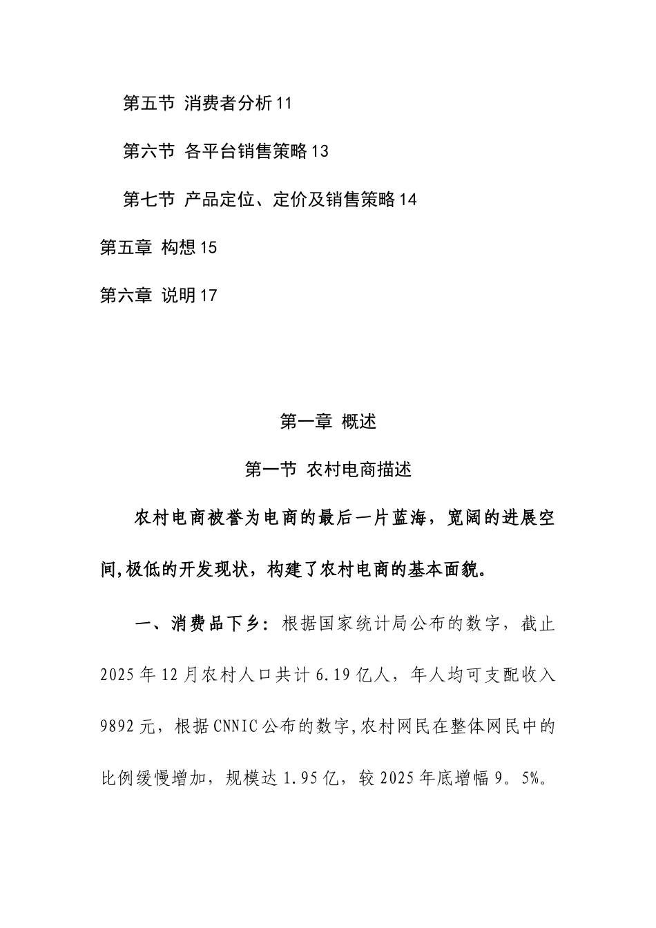 农村电商多平台运营计划_第3页