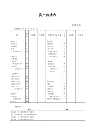 农民专业合作社专业财务报表