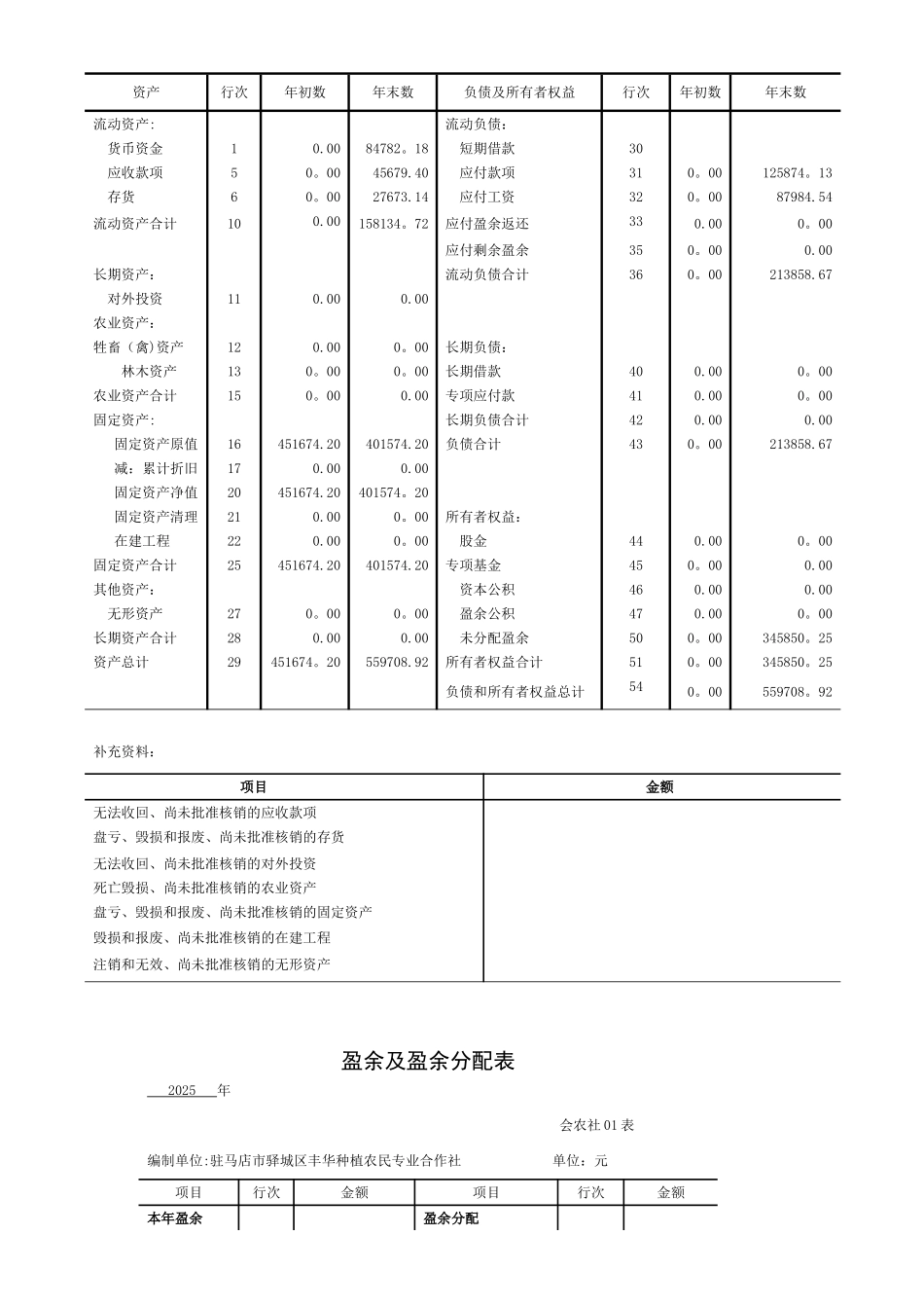 农民专业合作社财务报表格式_第2页