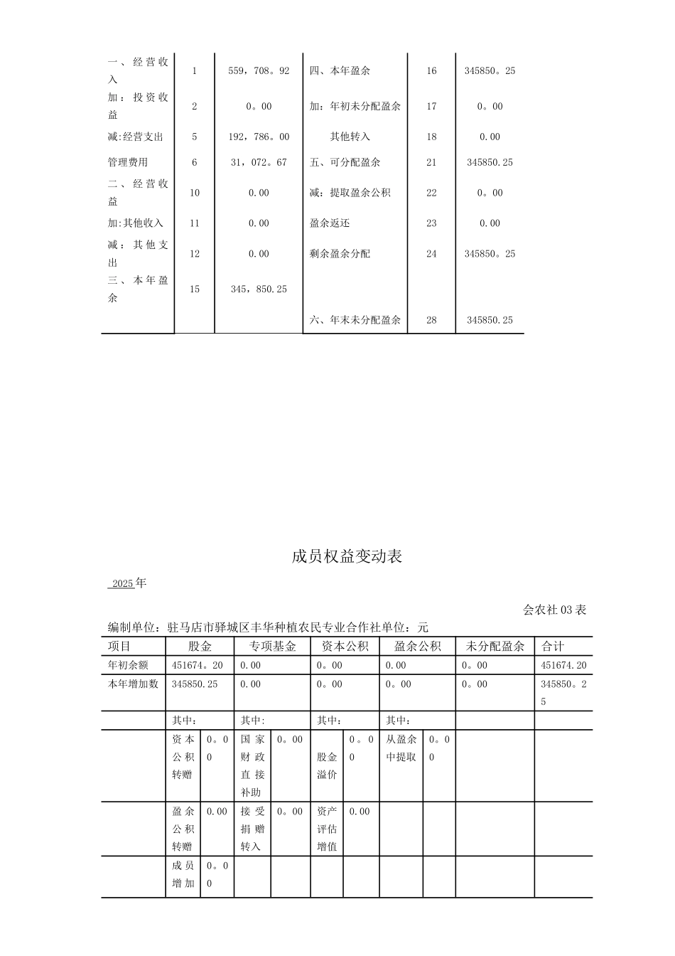 农民专业合作社财务报表格式_第3页