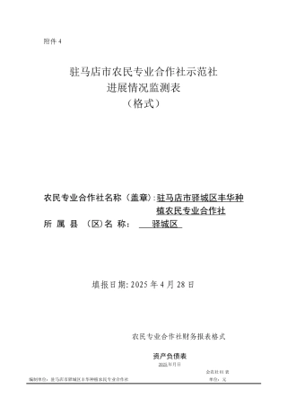 农民专业合作社财务报表格式