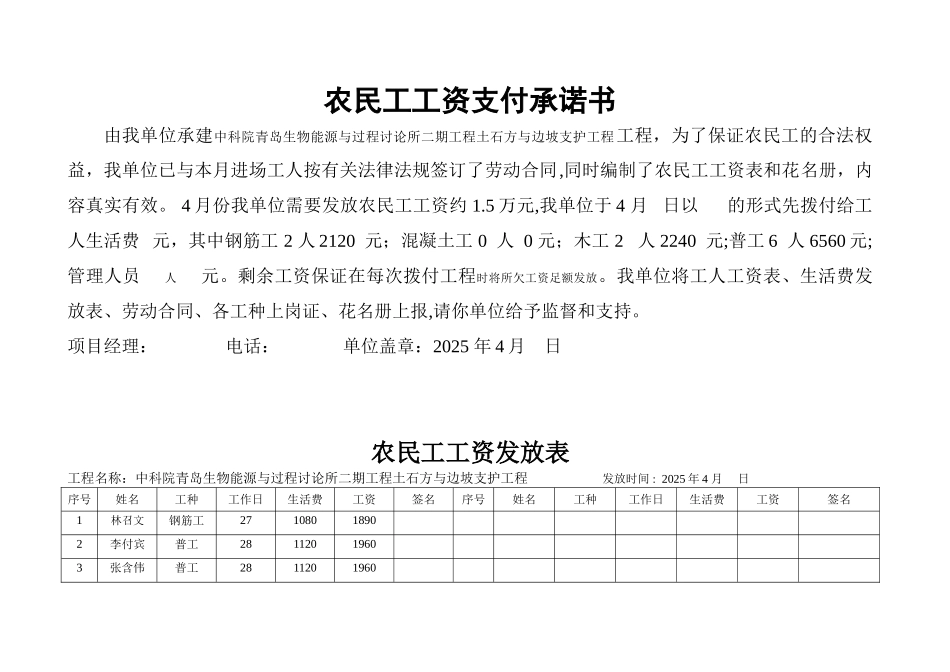 农民工工资发放表格_第3页