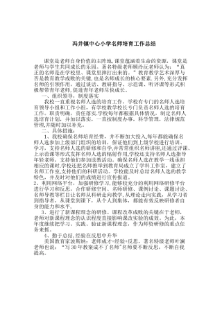 冯井镇中心小学名师培养工作总结