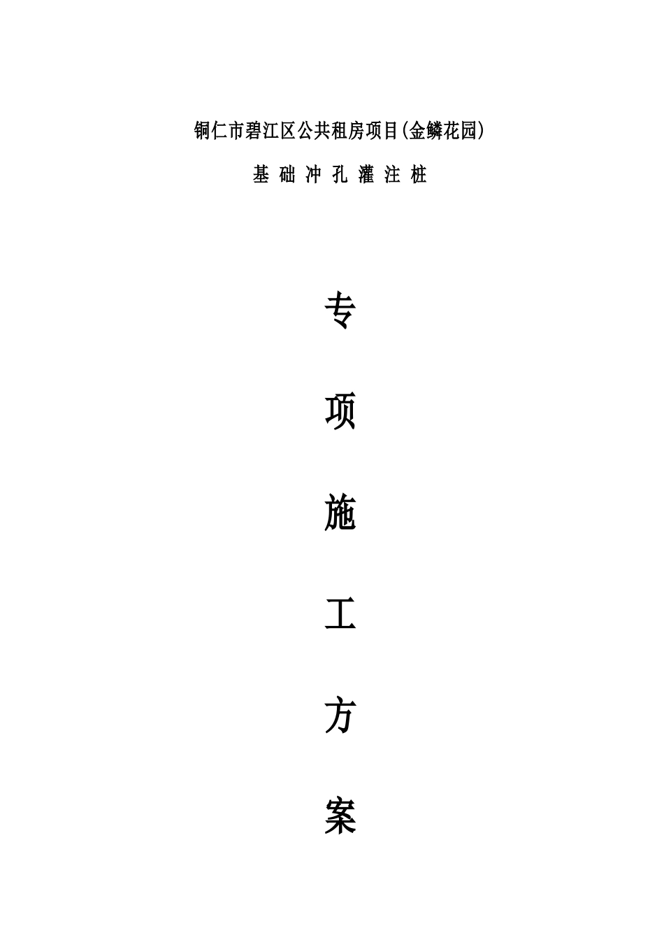 冲孔专项施工方案_第1页