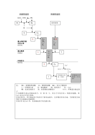凝血过程示意图42154